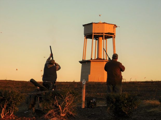 tower shoot at Prairie Wildlife Farms